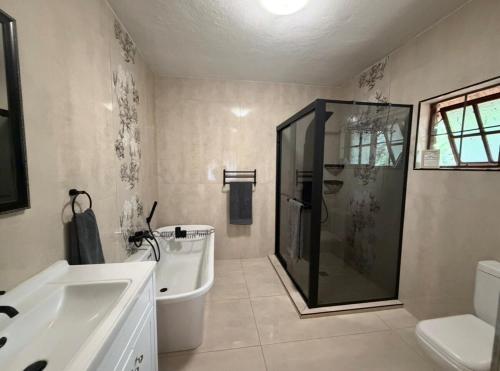 a bathroom with a shower and a toilet and a sink at La Bella Vita Marloth Park in Marloth Park