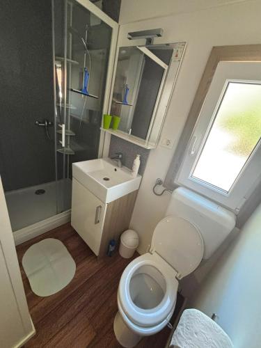 a bathroom with a toilet and a sink and a shower at MOBILE HOME Nikol in Pirovac