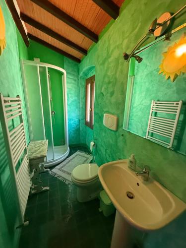 a green bathroom with a toilet and a sink at Tenuta Selvaggia in Reggello