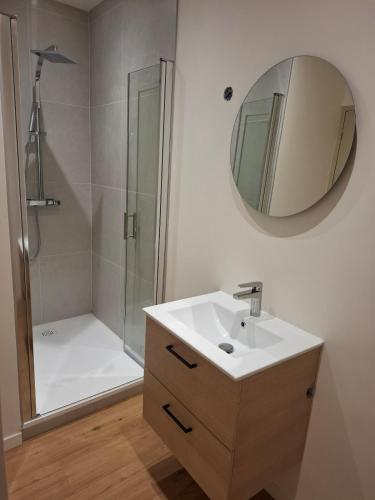 a bathroom with a sink and a shower with a mirror at Studio lumineux - 1er étage - Centre Vienne in Vienne