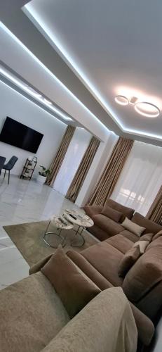 Niko Diana SUITE 3D