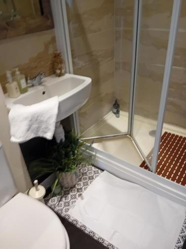 a bathroom with a sink and a shower at Owls Roost in Stowmarket