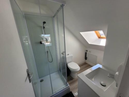 a bathroom with a shower and a toilet and a sink at Appart 1er étage Angers Chalouère in Angers