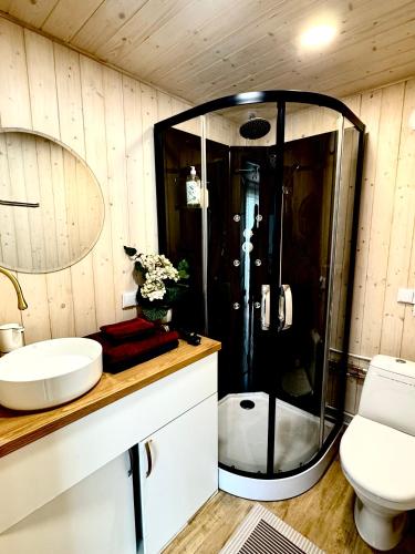 a bathroom with a shower with a sink and a toilet at Kadaksalu with sauna hinnas in Ruu