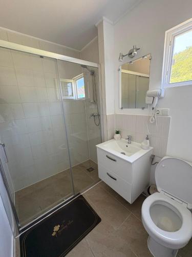 a bathroom with a shower and a toilet and a sink at Lacurile IRION in Hoghilag