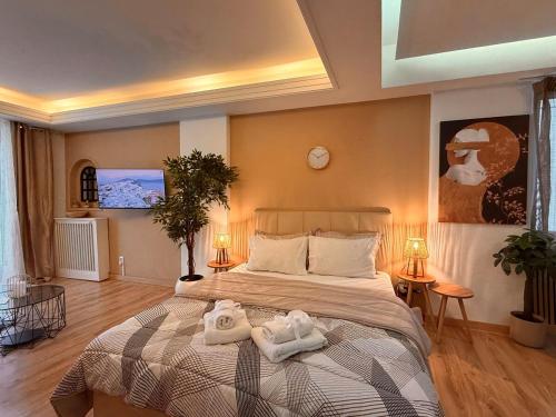 Syntagma Warm Studio on Ermou Street