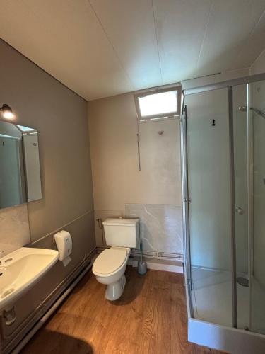 a bathroom with a toilet and a shower and a sink at Hotel du chateau blanc in Saint-Aubin-lès-Elbeuf