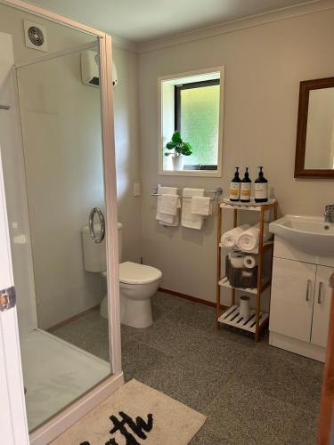 a bathroom with a shower and a toilet and a sink at Spacious peaceful apartment in Wellington