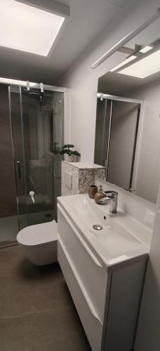 a bathroom with a sink and a shower and a toilet at Domek na górce u Ani in Polanowo