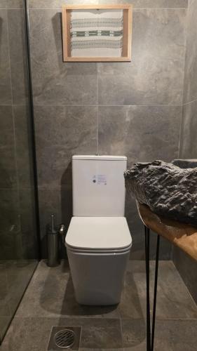 a bathroom with a white toilet and a sink at ILIS House Matka Canyon in Skopje
