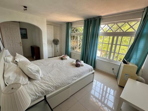 Casa Dorst Main Apartment photo 8