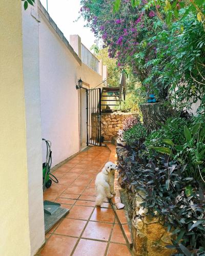 Casa Dorst Main Apartment photo 18