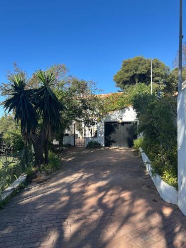 Casa Dorst Main Apartment photo 23