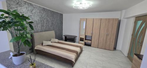 a bedroom with a bed and a potted plant at Studio Central Brancusi in Târgu Jiu