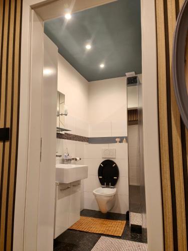 a bathroom with a toilet and a sink at El Paso Unin 1 in Unin