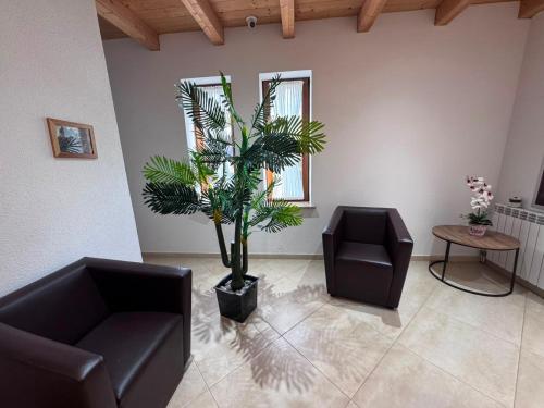 a living room with two chairs and a palm tree at Jeton Resort in Çerenec i Poshtëm