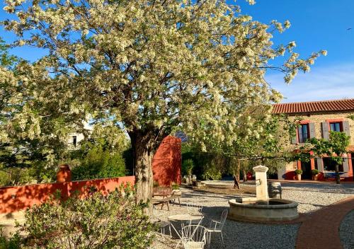 a tree in a courtyard with a table and chairs at Clos Des Aspres in Ortaffa