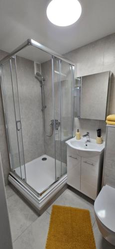 a bathroom with a shower and a sink at Yellow Apartment Mažeikiai in Mažeikiai