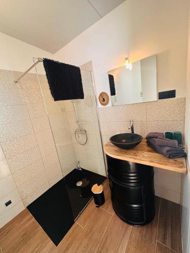 a bathroom with a sink and a shower at La loge de Lya in Gagnières