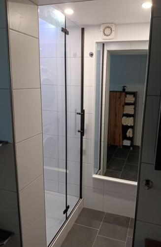 a bathroom with a glass shower and a mirror at Ferienwohnung unterm Kirschbaum in Großenlüder