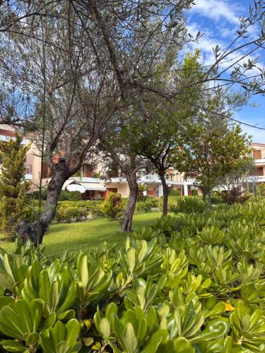 Akrotiri Beach House