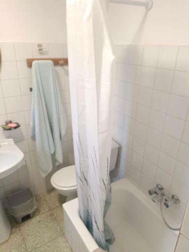 a bathroom with a toilet and a shower curtain at casa SARMA in Las Médulas