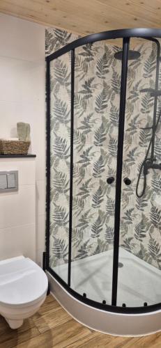 a shower in a bathroom with a toilet at Odskocznia bliżej lasu in Korczyna