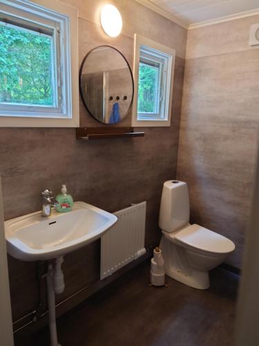 a bathroom with a sink and a toilet and a mirror at Stuga vad vatten in Åsarp