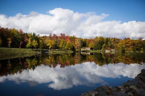 a reflection of trees and clouds in a lake at Pur Nature et Spa Eastman in Eastman
