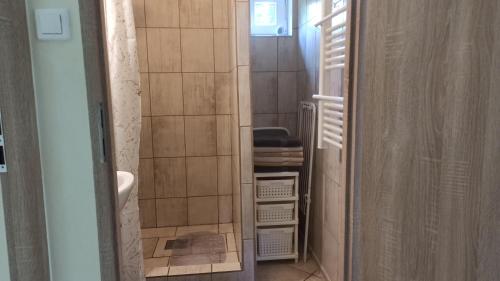 a bathroom with a walk in shower and a sink at Domek letniskowy Pod Topolami in Sieraków