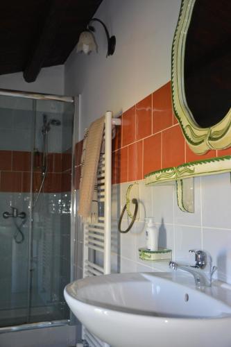 a bathroom with a sink and a shower and a mirror at Agriturismo Arona in Sperlinga