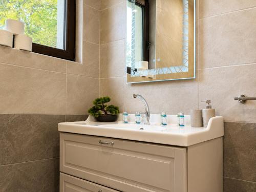 a bathroom with a sink and a mirror at Къща за гости ЕМ Парадайс in Tserova Koriya