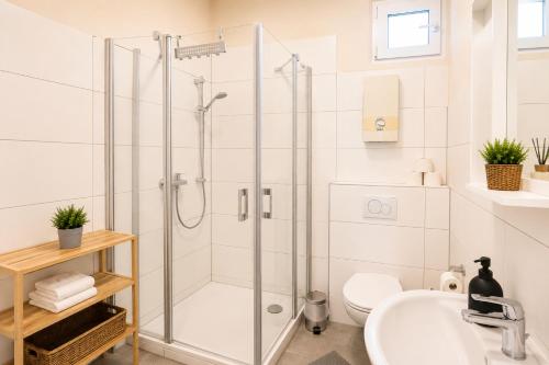 a bathroom with a shower and a sink at Subway Apartment in Koblenz