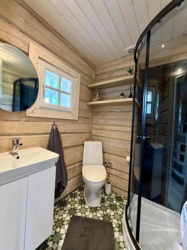 a bathroom with a toilet and a sink at Orjaku Sadamavaade in Orjaku