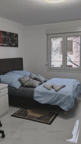 Appartement 1 Chambre