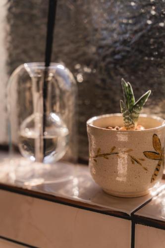 a plant in a cup on a counter with a glass at Garingboom Guest Farm in Groot-Suurfontein