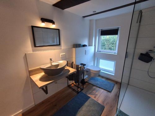 a bathroom with a sink and a toilet at Landliebe in Blomberg