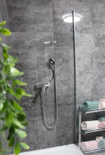 a shower with a glass door in a bathroom at Apartment AFRODITA Trnava - Historic centre in Trnava