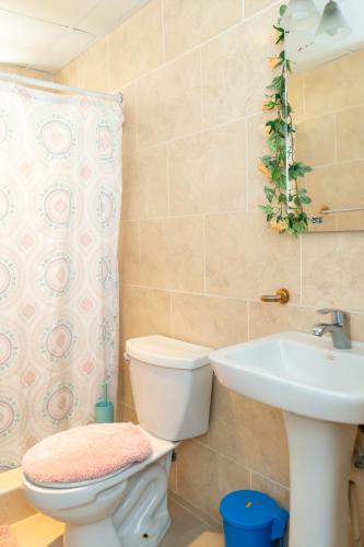 a bathroom with a toilet and a sink at 3 dormitorios y confortable apartamento in Santo Domingo