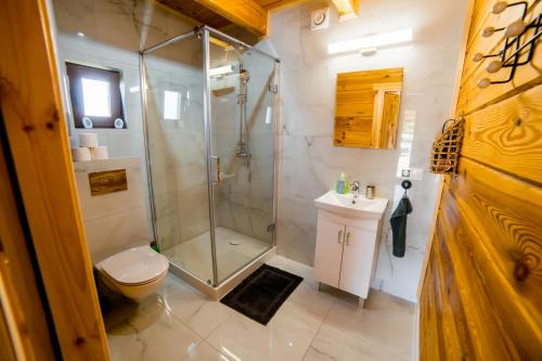 a bathroom with a shower and a toilet and a sink at Domek na Bieszczadach Domek na Bani 2 in Łukowe