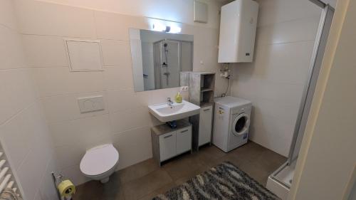 a bathroom with a toilet sink and a washing machine at Tor zur Weinstrasse, Smart & Einfach in Leibnitz