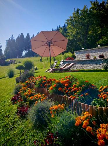 a flower garden with an umbrella in a field at Apartment Boris Sveta Planina in Knezdol