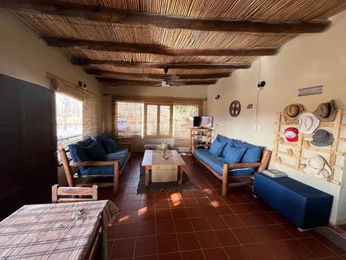 ein Wohnzimmer mit blauen Sofas und einem Tisch in der Unterkunft Finca Basin in Barreal
