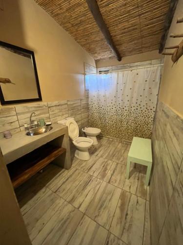 ein Badezimmer mit Toilette und Waschbecken in der Unterkunft Finca Basin in Barreal