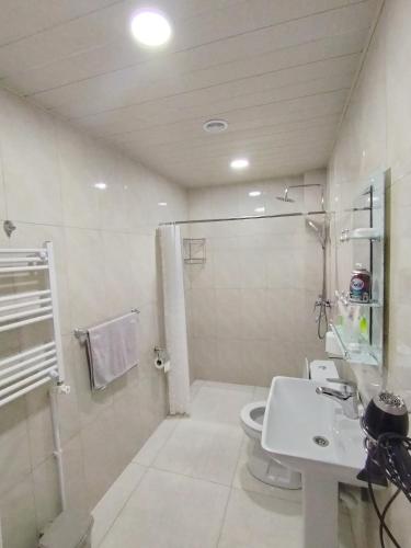 a bathroom with a toilet and a sink and a shower at Tsaghkadzor Family Rest in Tsaghkadzor