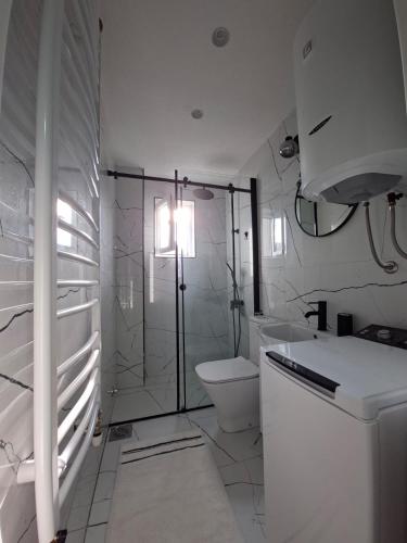 a bathroom with a shower and a toilet and a sink at Apartman Jana in Žabljak