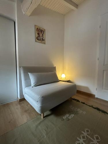 Spacieux appartement en hypercentre - Quartier les Carmes Palais de Justice
