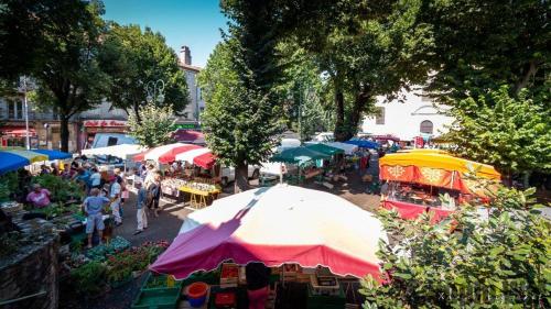 a crowd of people walking around an outdoor market with umbrellas at Le Cocon des pierres du Jaur in Saint-Pons-de-Thomières