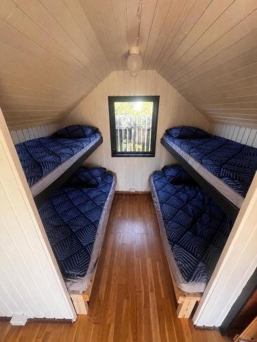 ein Zimmer mit drei Etagenbetten in einem winzigen Haus in der Unterkunft The Crows Nest in Hirtshals