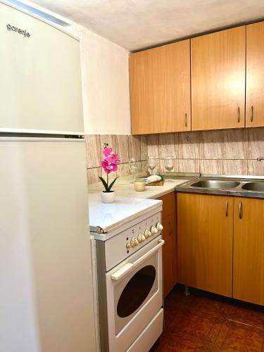 a kitchen with a white stove and a white refrigerator at Casa Kraljevo in Kraljevo